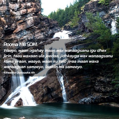 Picture 02 - Rooma 7:18 SOM - Waayo, waan ogahay inaan wax wanaagsanu igu dhex - Bible Verse Picture