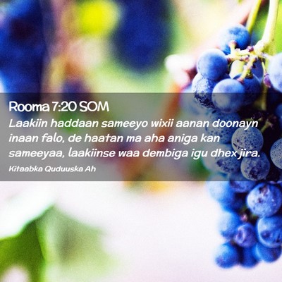 Picture 02 - Rooma 7:20 SOM - Laakiin haddaan sameeyo wixii aanan doonayn inaan - Bible Verse Picture