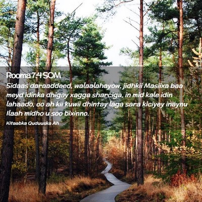 Picture 02 - Rooma 7:4 SOM - Sidaas daraaddeed, walaalahayow, jidhkii Masiixa - Bible Verse Picture