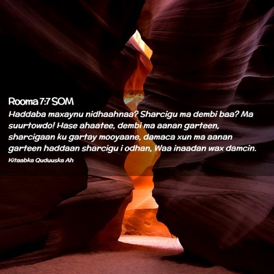 Picture 02 - Rooma 7:7 SOM - Haddaba maxaynu nidhaahnaa? Sharcigu ma dembi - Bible Verse Picture