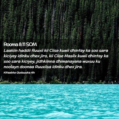 Picture 02 - Rooma 8:11 SOM - Laakiin haddii Ruuxii kii Ciise kuwii dhintay ka - Bible Verse Picture