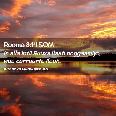 Picture 02 - Rooma 8:14 SOM - In alla intii Ruuxa Ilaah hoggaamiyo, waa - Bible Verse Picture