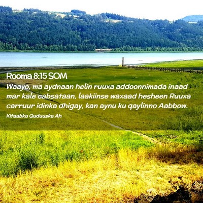 Picture 02 - Rooma 8:15 SOM - Waayo, ma aydnaan helin ruuxa addoonnimada inaad - Bible Verse Picture