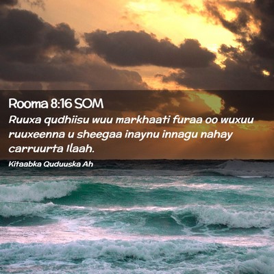 Picture 02 - Rooma 8:16 SOM - Ruuxa qudhiisu wuu markhaati furaa oo wuxuu - Bible Verse Picture