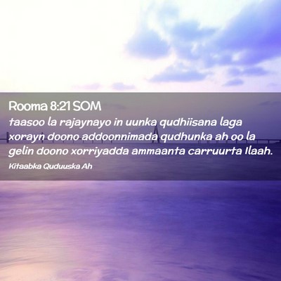 Picture 02 - Rooma 8:21 SOM - taasoo la rajaynayo in uunka qudhiisana laga - Bible Verse Picture