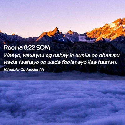 Picture 02 - Rooma 8:22 SOM - Waayo, waxaynu og nahay in uunka oo dhammu wada - Bible Verse Picture