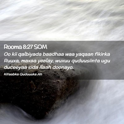Picture 02 - Rooma 8:27 SOM - Oo kii qalbiyada baadhaa waa yaqaan fikirka - Bible Verse Picture