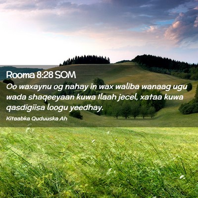Picture 02 - Rooma 8:28 SOM - Oo waxaynu og nahay in wax waliba wanaag ugu wada - Bible Verse Picture