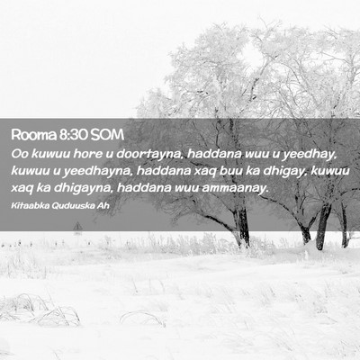 Picture 02 - Rooma 8:30 SOM - Oo kuwuu hore u doortayna, haddana wuu u yeedhay, - Bible Verse Picture