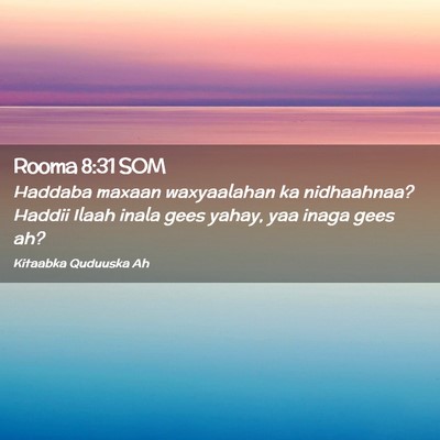 Picture 02 - Rooma 8:31 SOM - Haddaba maxaan waxyaalahan ka nidhaahnaa? Haddii - Bible Verse Picture
