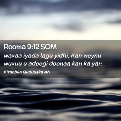 Picture 02 - Rooma 9:12 SOM - waxaa iyada lagu yidhi, Kan weynu wuxuu u adeegi - Bible Verse Picture