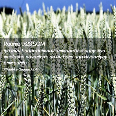 Picture 02 - Rooma 9:23 SOM - iyo inuu hodantinimadii ammaantiisa ogeysiiyo - Bible Verse Picture