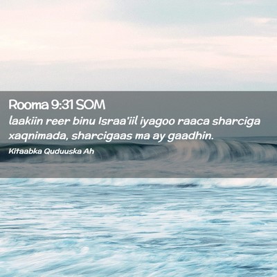 Picture 02 - Rooma 9:31 SOM - laakiin reer binu Israa'iil iyagoo raaca sharciga - Bible Verse Picture