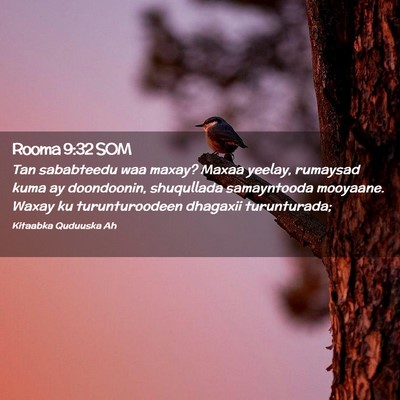 Picture 02 - Rooma 9:32 SOM - Tan sababteedu waa maxay? Maxaa yeelay, rumaysad - Bible Verse Picture