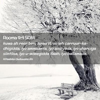 Picture 02 - Rooma 9:4 SOM - kuwa ah reer binu Israa'iil, oo leh - Bible Verse Picture