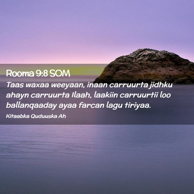 Picture 02 - Rooma 9:8 SOM - Taas waxaa weeyaan, inaan carruurta jidhku ahayn - Bible Verse Picture