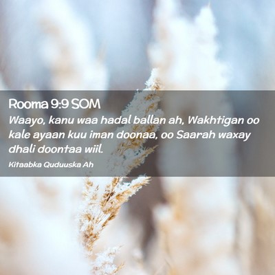 Picture 02 - Rooma 9:9 SOM - Waayo, kanu waa hadal ballan ah, Wakhtigan oo - Bible Verse Picture