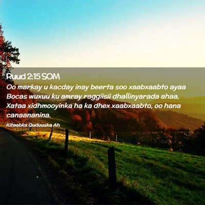Picture 02 - Ruud 2:15 SOM - Oo markay u kacday inay beerta soo xaabxaabto - Bible Verse Picture