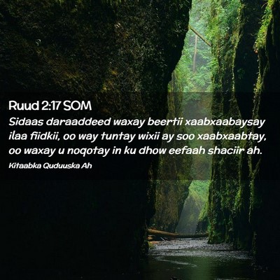 Picture 02 - Ruud 2:17 SOM - Sidaas daraaddeed waxay beertii xaabxaabaysay - Bible Verse Picture