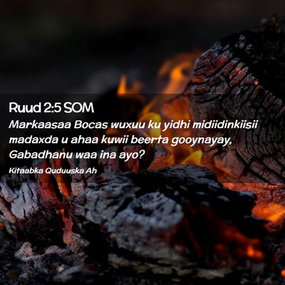 Picture 02 - Ruud 2:5 SOM - Markaasaa Bocas wuxuu ku yidhi midiidinkiisii - Bible Verse Picture