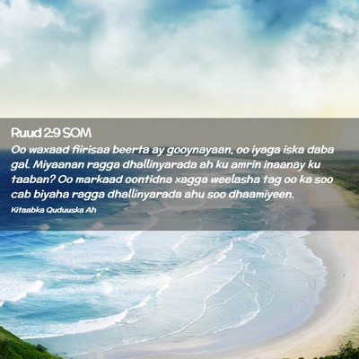 Picture 02 - Ruud 2:9 SOM - Oo waxaad fiirisaa beerta ay gooynayaan, oo iyaga - Bible Verse Picture