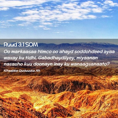 Picture 02 - Ruud 3:1 SOM - Oo markaasaa Nimco oo ahayd soddohdeed ayaa waxay - Bible Verse Picture