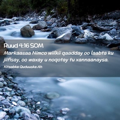 Picture 02 - Ruud 4:16 SOM - Markaasaa Nimco wiilkii qaadday oo laabta ku - Bible Verse Picture