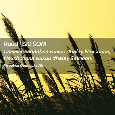 Picture 02 - Ruud 4:20 SOM - Cammiinaadaabna wuxuu dhalay Naxshoon, Naxshoonna - Bible Verse Picture