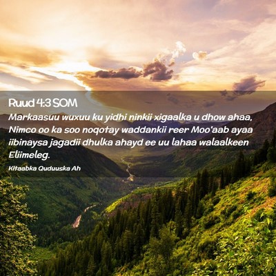 Picture 02 - Ruud 4:3 SOM - Markaasuu wuxuu ku yidhi ninkii xigaalka u dhow - Bible Verse Picture