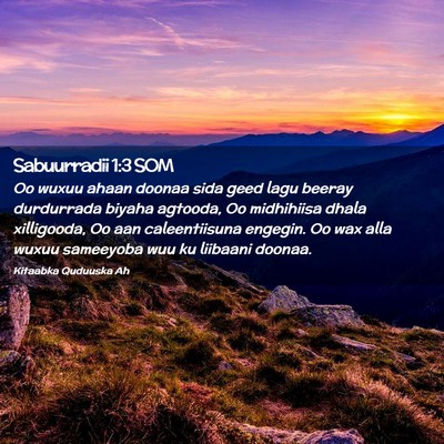 Picture 02 - Sabuurradii 1:3 SOM - Oo wuxuu ahaan doonaa sida geed lagu beeray - Bible Verse Picture