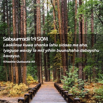Picture 02 - Sabuurradii 1:4 SOM - Laakiinse kuwa sharka lahu sidaas ma aha, Iyaguse - Bible Verse Picture