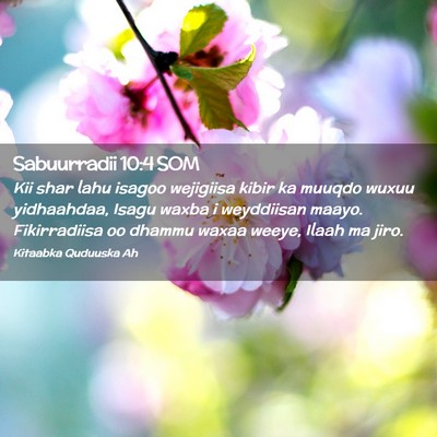Picture 02 - Sabuurradii 10:4 SOM - Kii shar lahu isagoo wejigiisa kibir ka muuqdo - Bible Verse Picture