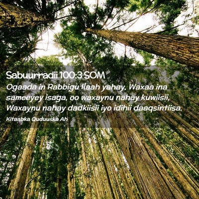 Picture 02 - Sabuurradii 100:3 SOM - Ogaada in Rabbigu Ilaah yahay, Waxaa ina sameeyey - Bible Verse Picture