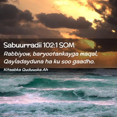 Picture 02 - Sabuurradii 102:1 SOM - Rabbiyow, baryootankayga maqal, Qayladayduna ha - Bible Verse Picture