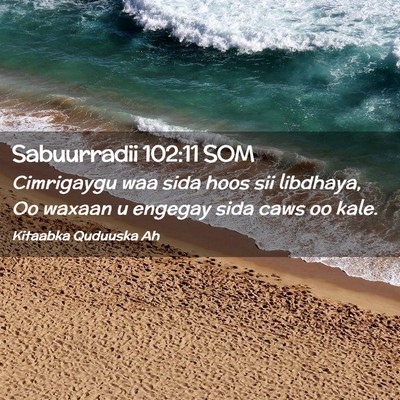 Picture 02 - Sabuurradii 102:11 SOM - Cimrigaygu waa sida hoos sii libdhaya, Oo waxaan - Bible Verse Picture