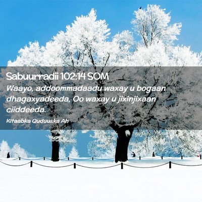 Picture 02 - Sabuurradii 102:14 SOM - Waayo, addoommadaadu waxay u bogaan - Bible Verse Picture