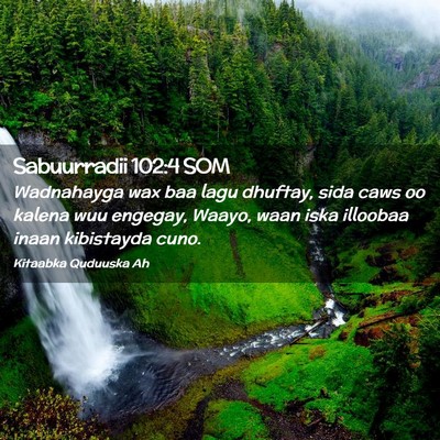 Picture 02 - Sabuurradii 102:4 SOM - Wadnahayga wax baa lagu dhuftay, sida caws oo - Bible Verse Picture
