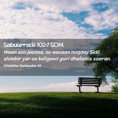 Picture 02 - Sabuurradii 102:7 SOM - Waan soo jeedaa, oo waxaan noqday Sidii shimbir - Bible Verse Picture