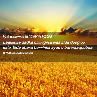 Picture 02 - Sabuurradii 103:15 SOM - Laakiinse dadka cimrigiisu waa sida doog oo kale, - Bible Verse Picture
