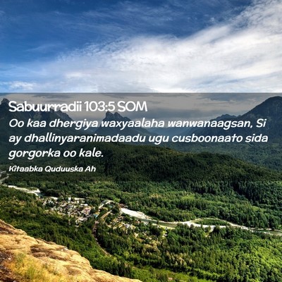 Picture 02 - Sabuurradii 103:5 SOM - Oo kaa dhergiya waxyaalaha wanwanaagsan, Si ay - Bible Verse Picture
