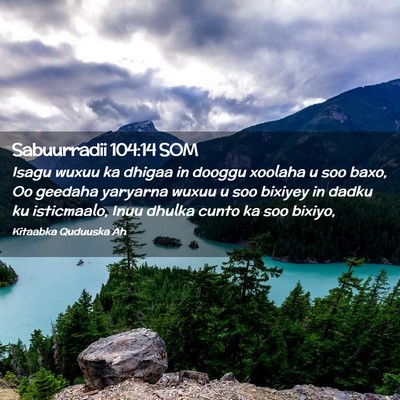 Picture 02 - Sabuurradii 104:14 SOM - Isagu wuxuu ka dhigaa in dooggu xoolaha u soo - Bible Verse Picture