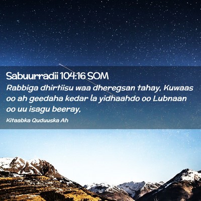 Picture 02 - Sabuurradii 104:16 SOM - Rabbiga dhirtiisu waa dheregsan tahay, Kuwaas oo - Bible Verse Picture