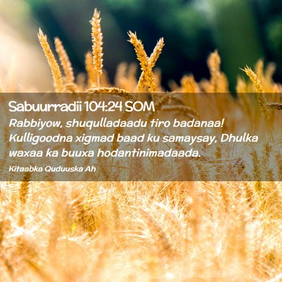 Picture 02 - Sabuurradii 104:24 SOM - Rabbiyow, shuqulladaadu tiro badanaa! Kulligoodna - Bible Verse Picture