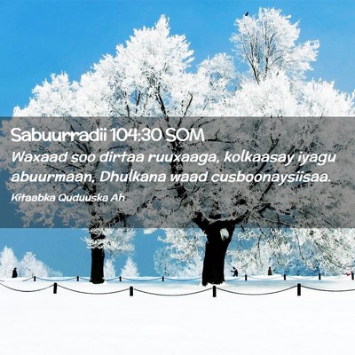 Picture 02 - Sabuurradii 104:30 SOM - Waxaad soo dirtaa ruuxaaga, kolkaasay iyagu - Bible Verse Picture