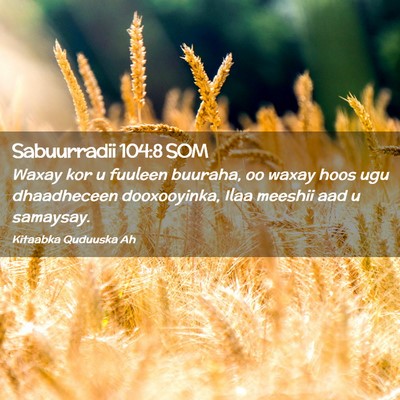 Picture 02 - Sabuurradii 104:8 SOM - Waxay kor u fuuleen buuraha, oo waxay hoos ugu - Bible Verse Picture