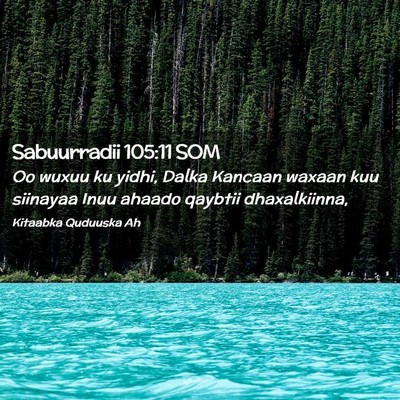 Picture 02 - Sabuurradii 105:11 SOM - Oo wuxuu ku yidhi, Dalka Kancaan waxaan kuu - Bible Verse Picture