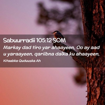 Picture 02 - Sabuurradii 105:12 SOM - Markay dad tiro yar ahaayeen, Oo ay aad u - Bible Verse Picture