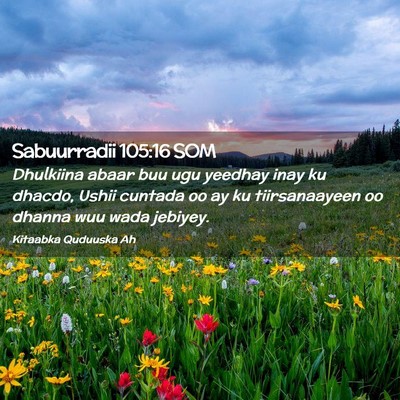 Picture 02 - Sabuurradii 105:16 SOM - Dhulkiina abaar buu ugu yeedhay inay ku dhacdo, - Bible Verse Picture