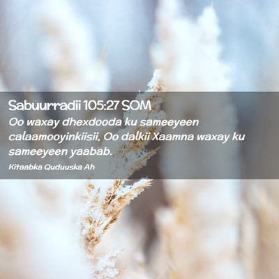 Picture 02 - Sabuurradii 105:27 SOM - Oo waxay dhexdooda ku sameeyeen - Bible Verse Picture