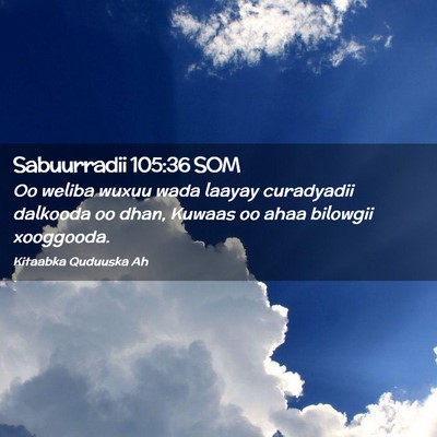Picture 02 - Sabuurradii 105:36 SOM - Oo weliba wuxuu wada laayay curadyadii dalkooda - Bible Verse Picture